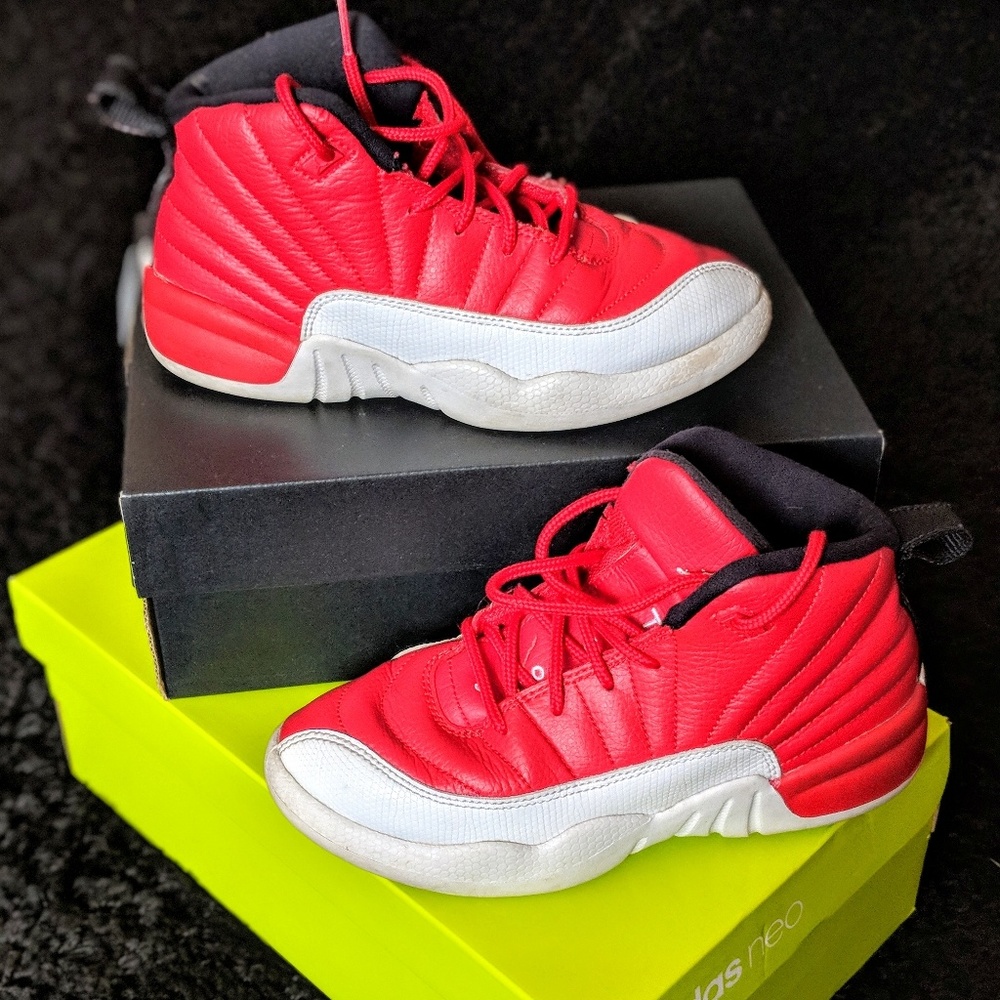 Jordan retro 12